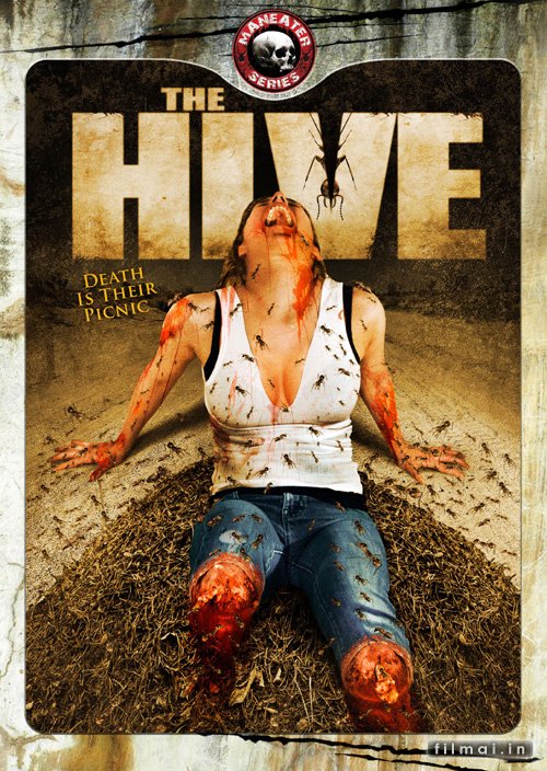 Hive Online Anglų Kalba Hive Online Anglų Kalba