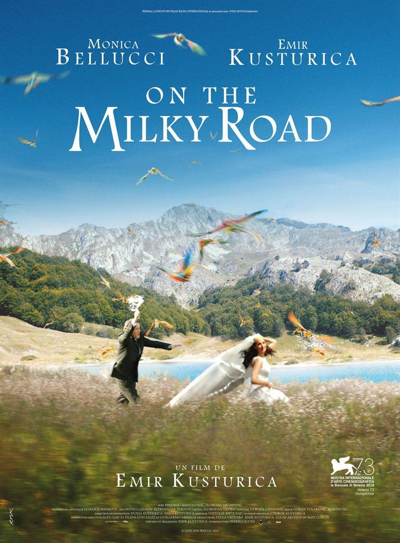 PAUKŠČIŲ TAKU / ON THE MILKY ROAD (2016)