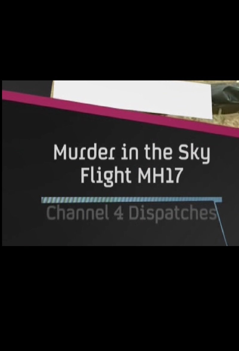 ŽUDYNĖS DANGUJE. REISAS MH17 / Murder in the Sky: Flight MH17
