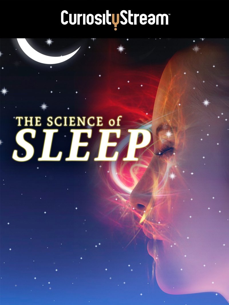Mokslas apie miegą (2016) / While You Were Sleeping