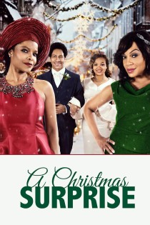 Kalėdų staigmena (2020) / A Christmas surprise