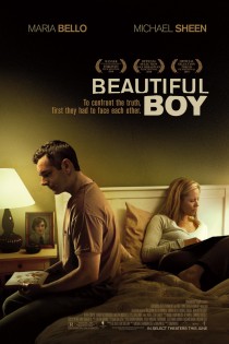 Nuostabus berniukas / Beautiful Boy (2010)